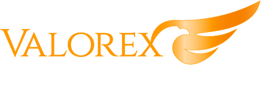 Logo-valorex-solutions